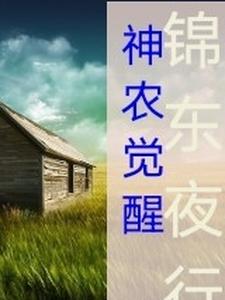 神农决赵飞